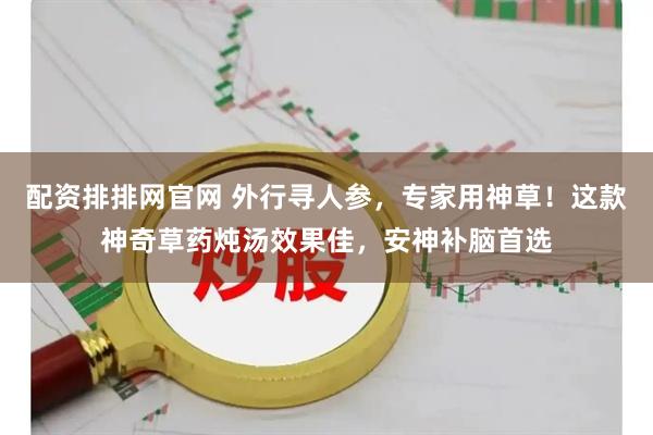 配资排排网官网 外行寻人参，专家用神草！这款神奇草药炖汤效果佳，安神补脑首选