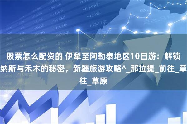 股票怎么配资的 伊犁至阿勒泰地区10日游：解锁喀纳斯与禾木的秘密，新疆旅游攻略^_那拉提_前往_草原